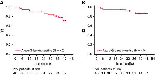 Kaplan-Meier assessments. (A) PFS. (B) OS. Atezo, atezolizumab; G, obinutuzumab; No., number; OS, overall survival; PFS, progression-free survival.