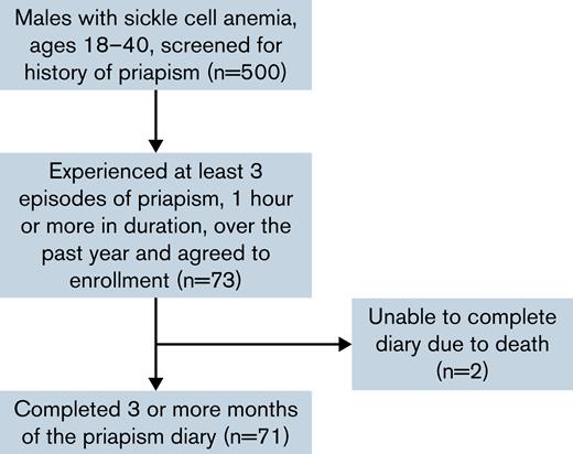 Consort diagram for participant screening, enrollment, and completion of prospective diary.