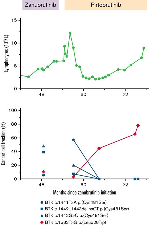 Longitudinal disease and mutation assessment in a patient with disease progressing on zanubrutinib and pirtobrutinib. Peripheral blood lymphocyte count over time during transition from zanubrutinib to pirtobrutinib therapy (top). CCF of detectable BTK mutations over the same period. Blue symbols indicate mutations corresponding to the Cys481Ser amino acid change; red symbols indicate the mutation corresponding to the kinase-dead Leu528Trp mutation (bottom). Changes in CCF during pirtobrutinib therapy are annotated with a connecting line.