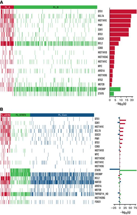 Heatmaps of mutated genes, by cluster. (A) For the 2 BIC-determined clusters, FL_A and FL_B. (B) for the AIC-determined clusters, FL_aSHM, FL_STAT6, and FL_Com. The panel on the righthand side shows the enrichment for mutations within each cluster with a logarithmic q-value scale. Only those mutations are shown that are identified as significantly enriched for the given group, as determined by a Benjamini-Hochberg adjusted q < 0.05 from a χ2 test of independence. “HD” indicates the homozygous deletion or a mutation in this gene.