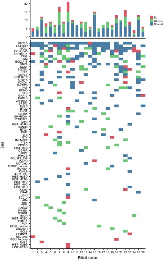 Mutations in patients who transformed from FL to DLBCL. Distribution of mutations by individual patient stratified by mutated at FL diagnosis only, mutated at DLBCL only, and mutated at both FL and DLBCL diagnosis.