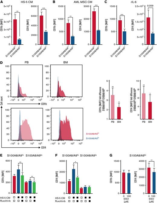 S100A8/A9highAML cells display signs of myeloid differentiation. (A-C) AML cell lines were analyzed by flow cytometry for the myeloid maturation markers CD11b and CD14 in S100A8/A9hi and S100A8/A9lo cells after 48 hours of culture in the presence of HS-5 CM (A; OCI-AML, n = 5; MOLM-13, n = 5), AML-MSC CM from 6 patients (B; OCI-AML, n = 12; MOLM-13, n = 12, patient ID 11-16; supplemental Table 1), and recombinant human IL-6 (C; OCI-AML, n = 3; MOLM-13, n = 3), based on median fluorescence intensity (MdFI). (D) The myeloid maturation markers CD11b and CD14 were analyzed by flow cytometry in matched-pair (n = 10; patient ID 1-10; supplemental Table 1) PB- and BM-derived S100A8/A9hi and S100A8/A9lo AML blasts, as shown in representative histograms (left) and as summarized by fold change (right; S100A8/A9lo set as 1). (E-F) Surface levels of CD11b and CD14 were analyzed in S100A8/A9hi and S100A8/A9lo (OCI-AML, n = 4; MOLM1,3 n = 4) populations after culture for 48 hours with HS-5 CM in the absence or presence of the pan-Jak inhibitor ruxolitinib, as indicated. (G) Surface levels of CD11b and CD14 were analyzed in S100A8/A9hi cells among the AML cell lines (OCI-AML, n = 5; MOLM-13, n = 5) after 48 hours of culture with HS-5 CM in the absence or presence of the CD36 inhibitor SSO. Data are expressed as the standard error of mean. ∗P < .05; ∗∗P < .01; ∗∗∗P < .001.