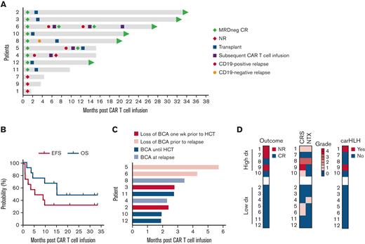 Clinical outcomes after infusion of CD19-CAR T cells. (A) Swimmers plot depicting the clinical course for each patient, with each lane representing a single patient. Patient 6: the indication for a third CAR T-cell reinfusion was a loss of BCA; the patient achieved BCA again after infusion. (B) EFS and OS of the entire patient cohort (n = 12). EFS was defined as the time from CAR T-cell infusion to NR at 4 weeks after CAR T-cell infusion, relapse, or death, with censoring at the time of the last follow-up. OS was defined by the time from CAR T-cell infusion to death, censoring at the time of the last follow-up. EFS and OS rates were estimated by the Kaplan-Meier method and compared by the log-rank test. (C) Duration of BCA among patients achieving a CR after CAR T-cell therapy. (D) Graphical presentation of outcome and observed toxicities, including disease response in the BM at 4 weeks after CAR T-cell infusion, the highest grade of CRS/NTX, and presence of carHLH. Patients are grouped based on the level of leukemic disease in the BM before CAR T-cell infusion (high: ≥40% morphologic blasts; low: <40% morphologic blasts).