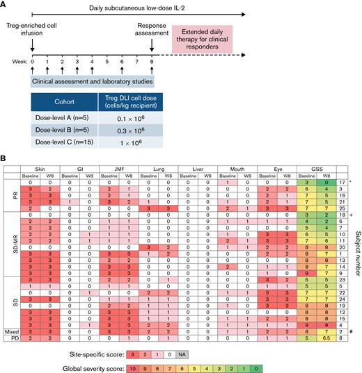 Study design and clinical response. (A) Study design. (B) Organ-specific cGVHD scores at baseline and week 8 (W8). ∗Patient 17 also had liver involvement that met PR criteria by 50% decrease in the ALT value (97 U/L at baseline, 48 U/L at week 8). +Patient 18 had polyserositis as the sole manifestation of cGVHD. #Patient 2 had lung progression based on FEV1 59% predicted at baseline and FEV1 43% at week 8 (decrease by 10% predicted absolute value of %FEV1). ALT, alanine aminotransferase; FEV, forced expiratory volume; GI, gastrointestinal; GSS, global severity score; JMF, joint/muscle/fascia; PR, partial response; SD, stable disease; SD/MR, stable disease with minor response; PD, progressive disease; NA, not applicable.