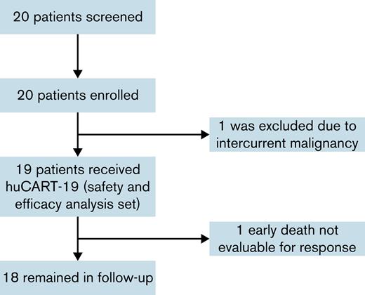 Screening, enrollment, and follow-up. A total of 20 patients were screened, and all 20 were enrolled. Of the 20 enrolled patients, 1 patient was not infused due to intercurrent lung adenocarcinoma and coincident finding of Richter transformation. Of the 19 patients who were infused, all had received ≥6 months of ibrutinib therapy before apheresis.