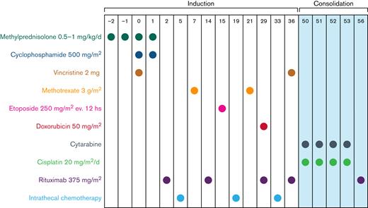 Treatment schedule. Drugs, doses, and plan of induction and consolidation phases. Intrathecal chemotherapy was delivered weekly in patients with meningeal disease. Methotrexate dose on day 21 was 5 g/m2 in HIV-positive patients. Graphic represents consolidation phase for HIV− patients. Consolidation phase for HIV+ patients is reported in Table 1.