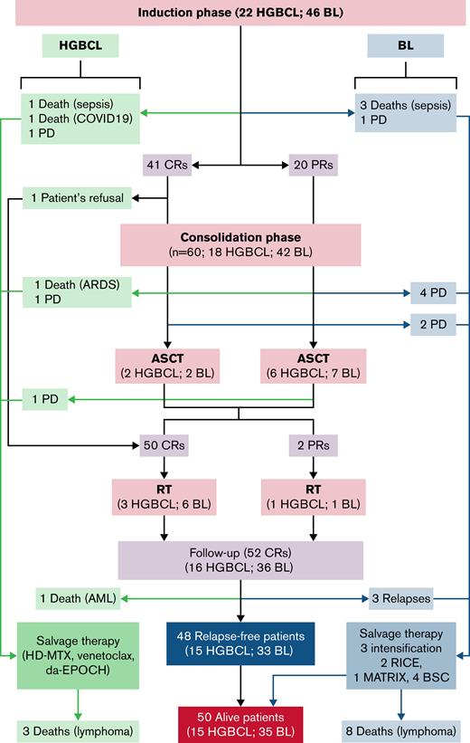 Consolidated Standards of Reporting Trials diagram. See Table 2 for “intensification” as salvage therapy. AML, acute myeloid leukemia; BSC, best supportive care; CRs, complete responders; HD-MTX, high-dose methotrexate; MATRix, methotrexate, cytarabine, thiotepa, and rituximab; PD, progressive disease; PR, partial responders; RICE, rituximab, ifosfamide, cyclophosphamide, and etoposide; RT, radiation therapy.