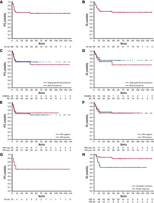 PFS and OS survival curves. PFS curves are represented in the left graphics and OS curves in right ones. PFS (A) and OS (B) curves of the whole series and of analyzed subgroups according to lymphoma entity (C-D) and to HIV sieropositivity (E-F). (G) PFS curves of the subgroup of patients with double-/triple-hit lymphoma; PFS and OS curves were superimposable in patients with double-/triple-hit lymphoma. OS (H) curves of patients according to the response to the induction (P = .02).