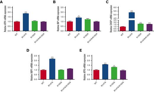 Expression of ER stress–related genes. ATF4 (A), BiP (B), CHOP (C), XBP1 (D), and ATF6 (E) were determined in each FVII variant–transfected HEK293T by qRT-PCR. The results were presented as mean ± SEM (n = 3). ∗∗∗P < .001; ∗∗P < .01 in comparison between WT and each FVII variant.