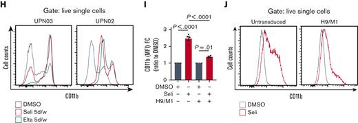 Prolonged XPO1 inhibition is necessary to induce terminal differentiation of NPM1-mutated cells in vitro. (A) HOXA9, HOXA10, and MEIS1 expression by qPCR in OCI-AML3 cells after 24 hours treatment with DMSO, selinexor, or eltanexor 50 nM; 72 hours treatment with DMSO, selinexor, or eltanexor 50 nM 5 days per week (72 hours treatment); and selinexor or eltanexor 2 days per week (24 hours treatment + 48 hours fresh medium). N = 3, mean ± SEM, Tukey multiple comparison test. (B) May-Grünwald Giemsa staining of OCI-AML3 cells on day 11 following treatment with either DMSO, selinexor, or eltanexor 50 nM 2 days per week and selinexor or eltanexor 50 nM 5 days per week. Original magnification ×40. Uncropped images are shown in supplemental Figure 4A. (C) Flow cytometry quantification of CD11b, expressed as MFI FC relative to DMSO in OCI-AML3 cells on day 11 of treatment with either DMSO, selinexor or eltanexor 50 nM 2 days per week and selinexor or eltanexor 50 nM 5 days per week. N = 3, mean ± SEM, Tukey multiple comparison test. (D) Histogram plots representing CD11b expression analyzed by flow cytometry on day 11 in OCI-AML3 cells treated with DMSO, selinexor, or eltanexor 50 nM 2 days per week and selinexor or eltanexor 50 nM 5 days per week. (E) Flow cytometry quantification of CD11b, expressed as MFI FC relative to DMSO in OCI-AML3 cells on day 11 of treatment with 2 days per week DMSO, selinexor 50 nM, or selinexor 100 nM. N = 3, mean ± SEM, Tukey multiple comparison test. (F) Histogram plot representing CD11b expression analyzed by flow cytometry on day 11 in OCI-AML3 cells treated with either DMSO and selinexor 50 nM or 100 nM 2 days per week. (G) Flow cytometry quantification of CD11b, expressed as MFI FC relative to DMSO in 4 primary NPM1-mutated AML samples and 2 PDXs after 7 to 9 days of treatment with DMSO, 50 nM selinexor or eltanexor 2 days per week, or 50 nM selinexor or eltanexor 5 days per week. N ≥ 2 for each patient/PDX, mean ± SEM, Tukey multiple comparison test on each patient/PDX. (H) Histogram plot representing CD11b expression analyzed by flow cytometry on day 7 in UPN03 and UPN02 primary AML cells treated with either DMSO or selinexor or eltanexor 50 nM 5 days per week. (I) Flow cytometry quantification of CD11b, expressed as MFI FC relative to DMSO in untransduced and HOXA9/MEIS1-transduced OCI-AML3 cells after 7 days of CT with either DMSO or selinexor 50 nM. N = 4, mean ± SEM, Tukey multiple comparison test. (J) Histogram plot showing CD11b expression analyzed by flow cytometry on day 7 in untransduced and HOXA9/MEIS1-transduced OCI-AML3 cells treated with either DMSO or selinexor 50 nM for 7 consecutive days. Elta, eltanexor; UPN, unique patient number; H9/M1, HOXA9/MEIS1.