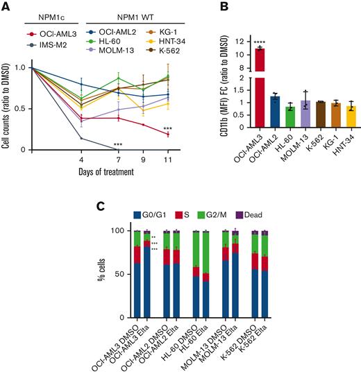Prolonged XPO1 inhibition preferentially inhibits growth and induces differentiation of NPM1-mutated cell lines. (A) Viable cell counts by trypan blue exclusion of indicated NPM1-mutated and NPM1 WT cell lines treated with 50 nM eltanexor for 11 days. Cells were counted and replated at equal concentrations with fresh drugs every 3 days. Results are reported as ratio to DMSO-treated cells. N = 3, mean ± SEM, Dunnett multiple comparison test. (B) Flow cytometry quantification of CD11b, expressed as MFI FC relative to DMSO in OCI-AML3 and indicated NPM1 WT cell lines after 11 days of treatment with eltanexor 50 nM 5 days per week. N = 3, mean ± SEM, Sidak multiple comparison test for each cell line. (C) Cell cycle analysis by propidium iodide of OCI-AML3 and indicated NPM1 WT cell lines after 11 days of treatment with eltanexor 50 nM 5 days per week. N = 3, mean ± SEM, Tukey multiple comparison test.