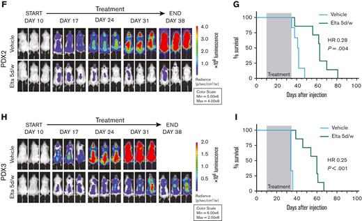 Prolonged XPO1 inhibition is necessary to elicit significant antileukemic activity in NPM1-mutated AML in vivo. (A) Schematic overview of the in vivo experiments. Each NSG mouse was transplanted with 1 × 106 GFP-Luc+ PDX cells. (B) HOXA9, HOXA10, MEIS1, and PBX3 expression by qPCR in sorted PDX2 cells after 7 days of treatment with the vehicle, selinexor 5 mg/kg 2 days per week, selinexor 5 mg/kg 5 days per week, or eltanexor 10 mg/kg 5 days per week. N = 4 mice per group, mean ± SEM, Dunnett multiple comparison test. (C) Flow cytometry quantification of human CD11b, expressed as MFI FC relative to vehicle in sorted PDX2 cells after 7 days of treatment with the vehicle, selinexor 5 mg/kg 2 days per week, selinexor 5 mg/kg 5 days per week, or eltanexor 10 mg/kg 5 days per week. N = 4 mice per group, mean ± SEM, Tukey multiple comparison test. (D) Bone marrow (BM) engraftment of PDX2 cells measured as human CD45 percentage of positive cells after 2 weeks of treatment with the vehicle, selinexor 5 mg/kg 2 days per week, selinexor 5 mg/kg 5 days per week, or eltanexor 10 mg/kg 5 days per week. N = 3 mice per group, mean ± SEM, Tukey multiple comparison test. (E) Representative images of BM histological sections stained for human CD45 after 14 days of treatment with the vehicle, selinexor 5 mg/kg 2 days per week, selinexor 5 mg/kg 5 days per week, or eltanexor 10 mg/kg 5 days per week. Original magnification ×40; scale bars, 20 μm. (F) Representative bioluminescence images of NSG mice transplanted with PDX2 cells treated with either the vehicle (N = 6) or eltanexor 10 mg/kg (N = 7) 5 days per week for 4 weeks. (G) The Kaplan-Meier curves of PDX2 mice treated with either vehicle (N = 6) or eltanexor 10 mg/kg (N = 7) 5 days per week for 4 weeks. Treatment time is shown in light gray. Log-rank (Mantel-Cox) test. (H) Representative bioluminescence images of NSG mice transplanted with PDX3 cells and treated with either the vehicle (N = 6) or eltanexor 10 mg/kg (N = 7) 5 days per week for 4 weeks. (I) The Kaplan-Meier curves of PDX3 mice treated with either vehicle (N = 6) or eltanexor 10 mg/kg (N = 7) 5 days per week for 4 weeks. Treatment time is shown in light gray. Log-rank (Mantel-Cox) test. HR; hazard ratio.