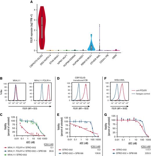 FOLR1 is uniquely expressed in CBF/GLIS AML, and FOLR1-expressing AML is sensitive to STRO-002, a FOLR1-directed ADC. (A) Box/violin plot of FOLR1 transcript expression in CBF/GLIS AML (N = 38), DEK-NUP214 (N = 48), ETV6-MNX1 (N = 16), NPM1-MLF1 (N = 8), NUP98-KDM5A (N = 32), NUP98-NSD1 (N = 104), RBM15-MKL1 (N = 10), other AML (N = 1235), normal peripheral blood CD34+ samples (N = 16), and normal bone marrow samples (N = 68) from TARGET Pediatric AML study. (B,D,F) Flow cytometric analysis of FOLR1 cell surface expression on MV4;11 parental cells and MV4;11 cells transduced with FOLR1 expression construct (MV4;11 FOLR1+), CBF/GLIS-transduced CB hematopoietic stem/progenitor cells (HSPCs) and WSU-AML cells, respectively. The FOLR1 mean fluorescent intensity (MFI) vs isotype is shown at the bottom of the histogram. (C,E,G) In vitro cytotoxicity of STRO-002 against MV4;11 and MV4;11 FOLR1+, CBF/GLIS-transduced cord blood (CB) HSPCs and WSU-AML cells, respectively. Cells were treated with increasing doses of STRO-002 alone or in excess of naked antibody SP8166 (1 uM). After 3 days of continuous exposure, viability was assessed by Cell Titer-Glo assay. Data are normalized to untreated controls. Error bars denote standard deviation from 2 technical replicates at each dose. Max, maximum; NBM, normal bone marrow; TPM, Transcripts per million.
