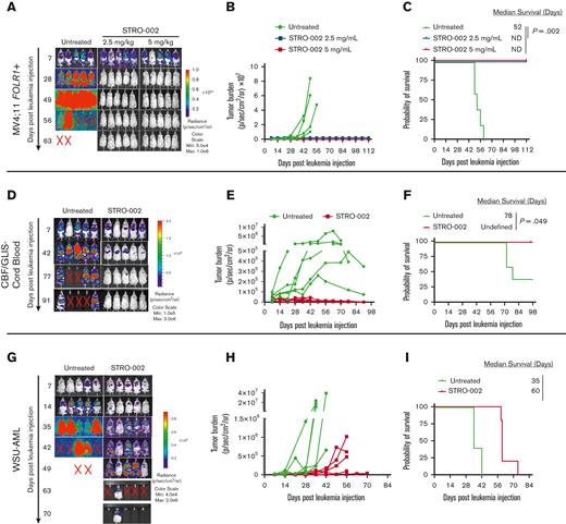 Preclinical efficacy of STRO-002 against FOLR1-expressing AML xenograft models. (A) Leukemia burden measured by bioluminescence (in vivo imaging system) imaging in MV4;11 FOLR1+ xenograft mice untreated or treated with STRO-002 at 2.5 mg/kg or 5 mg/kg weekly for 3 weeks. Shown are representative time points. N = 5 mice per group. (B) Quantification of radiance is shown in panel A. (C) Kaplan-Meier survival curves of MV4;11 FOLR1+ xenografts untreated or treated with STRO-002. Statistical differences in survival were evaluated using log-rank Mantel-Cox. (D,G) Leukemia burden measured by bioluminescence (in vivo imaging system) imaging in CBF/GLIS-transduced CB HSPC–bearing mice or WSU-AML–bearing mice untreated or treated with STRO-002 at 10 mg/kg weekly for 3 weeks, respectively. Shown are representative time points. N = 5 mice per group. (E,H) Quantification of radiance is shown in panels D and G, respectively. (F,I) Kaplan-Meier survival curves of CBF/GLIS-transduced CB HSPC–bearing mice or WSU-AML–bearing mice, respectively, untreated or treated with STRO-002. Statistical differences in survival were evaluated using log-rank Mantel-Cox. Symbol X indicates death. ND, not detected.