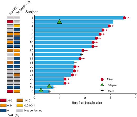 Swim plot of post-HCT outcomes among patients receiving enasidenib maintenance therapy. On the left, a panel shows a heatmap for the status of IDH2 mutational burden before HCT and before enasidenib maintenance. The right panel shows a swim plot for time from HCT to death or last seen alive. Orange triangle indicates relapse, plus sign indicates death.
