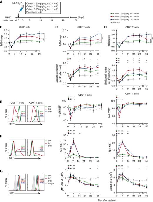 hIL-7-hyFc induces the expansion of circulating CD8+and CD4+T cells with cell proliferation and upregulated Bcl-2 expression. (A) Study design, showing the injection route and dose, and the PBMC collection schedule. The absolute counts of lymphocyte subsets were obtained from the complete blood counts using the ALC and flow cytometry–based frequencies. (B) FC in absolute counts of CD3+ cells over baseline, which was an average value on a day before and the day of administration. The data set for this graph was adapted from a previous report.23 (C) Absolute cell number of CD8+ T cells (bottom) and FC over baseline in CD8+ T-cell number (top). (D) Absolute cell number of CD4+ T cells (bottom) and FC over baseline in CD4+ T-cell number (top). (E-G) Expression changes of CD127, Ki-67, and Bcl-2 among CD8+ and CD4+ T cells after hIL-7-hyFc administration, as analyzed by flow cytometry. Plots show expression levels on days 0 and 21 and the maximum change time point. (E) Frequencies of CD127+ cells among CD8+ and CD4+ T cells. (F) Frequencies of Ki-67+ cells among CD8+ and CD4+ T cells. (G) Bcl-2 expression as gMFI among CD8+ and CD4+ T cells. Plot shows the mean values (± standard error of the mean) for each cohort at the indicated time points. P values of FC over baseline in panels B to D represent comparisons between cohorts by two-way RM ANOVA with Geisser-Greenhouse correction. Green, red, and blue asterisks indicate P values between an indicated group and the placebo group. Black asterisks next to the graphs indicate P values between 2 groups indicated. Black asterisks above the graphs indicate P values between the value of each time point to that of baseline (day 0) by a Wilcoxon matched-pairs signed-rank test. ∗∗∗P < .001, ∗∗P < .01, ∗P < .05.
