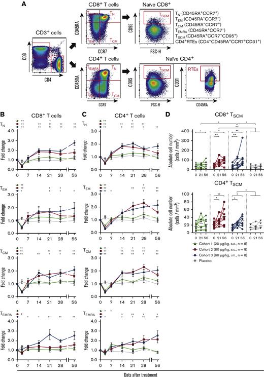 hIL-7-hyFc increases the absolute numbers of CD8+and CD4+T-cell subsets. (A) Gating strategy for obtaining flow cytometry-based frequencies of the TN, TEM, TCM, TEMRA, TSCM subsets, and CD4+ RTEs. (B-C) FC over baseline for the absolute counts of the TN, TEM, TCM, and TEMRA subsets among CD8+ T cells (B) and CD4+ T cells (C). TN, TEM, TCM, and TEMRA subsets are shown in order from top to bottom. Black asterisks above the graphs indicate P values comparing the value of each time point with that of baseline (day 0) by a Wilcoxon matched-pairs signed-rank test. (D) Absolute numbers of the TSCM subsets among CD8+ T cells (top) and CD4+ T cells (bottom) on days 0, 21, and 56. Values shown are the mean (± standard error of the mean) for cohorts and placebo at the specified times. P values between the value of each time point in each cohort were calculated with a Wilcoxon matched-pairs signed-rank test. The statistical significance between the cohorts were calculated with a two-way RM ANOVA with Geisser-Greenhouse correction. ∗∗P < .01, ∗P < .05.