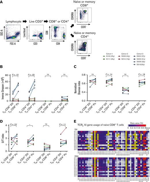TCR repertoire diversities of naive CD8+and CD4+T cells are increased after the T-cells expansion induced by hIL-7-hyFc. (A) Gating strategy for isolating the naive and memory subsets of CD8+ and CD4+ T cells by flow cytometry. Each subset was isolated on days 0 and 56 from 4 individuals in cohort 3 (n = 4) or was isolated on day 0 and post (day 21-56) from 4 individuals in cohort 1 and 2 (n = 2 from each cohort, respectively). The TCR repertoire diversity of each isolated subset was analyzed by sequencing the TCRβ CDR3 regions. (B) Inverse Simpson index, (C) normalized Shannon index, and (D) U/T index are shown. (E) V(D)J gene usage of CDR3 regions of naive CD8+ T cells on day 0 (top) and day 56 (bottom), shown as VJ gene combinations. Yellow boxes with “X” indicate VJ gene combinations with undetected use. Bright red boxes indicate VJ gene combinations with >1% usage of total combinations. V or J genes not shown on the horizontal or vertical axis were excluded because they were not detected in CDR3 sequencing. P values were calculated with a Wilcoxon matched-pairs signed-rank test. ∗P < .05.