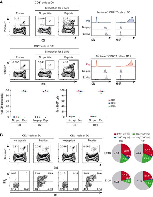 Effector functions of CMV-specific CD8+T cells are maintained after expansion by hIL-7-hyFc. CMVpp65495-503-specific CD8+ T cells on days 0 and 21 were stimulated with epitope peptide (NLVPMVATV). (A) The percentage of CTV-diluted cells and Ki-67+ cells, respectively, among pentamer+ CD8+ T cells after in vitro stimulation for 6 days. (B) The percentage of IFN-γ- and/or TNF-secreting cells among pentamer+ CD8+ T cells.