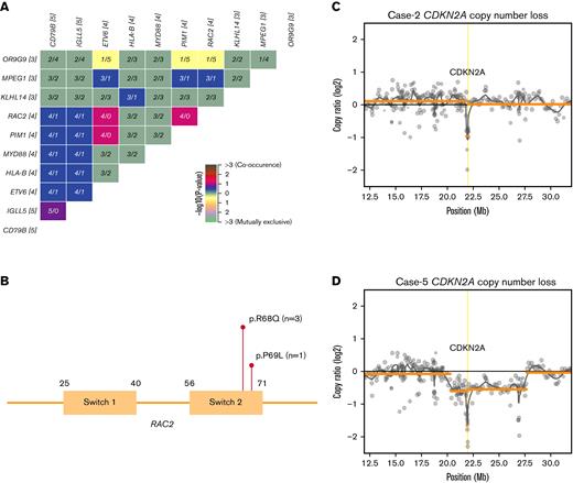 Distinct genetic features of IVLBCL. (A) Cooccurrence of top 10 mutations detected in IVLBCL cohort. (B) Lollipop plot showing SNVs detected in switch 2 domain of Rho GTPase family member RAC2 in 4 patients of IVLBCL. (C-D) Copy number loss of CDKN2A on chromosome 9p21 in 2 patients detected in our cohort. SNV, Single nucleotide variants.