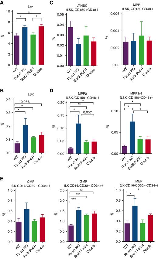Characterization of HSPCs in the BM of single and double mutant mice. Percentages of HSPCs from mouse BM analyzed by flow cytometry 20 weeks after BMT (WT, n = 5; Srsf2P95H/+, n = 5; Runx1 knockout, n = 5; double mutant, n = 6). (A) Lin− cells. (B) Lin−Sca-1+c-Kit+ (LSK) cells. (C) Long-term HSCs (LT-HSCs; LSK CD150+CD48−) and multipotent progenitor 1 cells (MPP1; LSK CD150−CD48−). (D) MPP2 (LSK CD150+CD48+) and MPP3/4 (LSK CD150−CD48+). (E) CMPs (Lin−Sca-1−c-Kit+CD16/CD32−CD34+), GMPs (Lin−Sca-1−c-Kit+CD16/CD32+CD34+), and megakaryocyte-erythrocyte progenitors (MEPs; Lin−Sca-1−c-Kit+CD16/CD32−CD34−). Data are mean ± SEM. Significance was determined by 1-way ANOVA with Tukey post hoc test. ∗P < .05, ∗∗P < .01, ∗∗∗P < .001. KO, knockout.