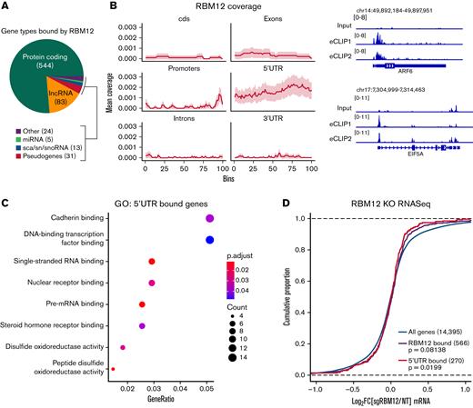 RBM12 binding patterns. RBM12 eCLIP-seq in WT primary human erythroblasts at day 8 of differentiation. (A) Pie chart displaying the distribution of gene types bound by RBM12. (B) Left: Coverage profile of RBM12 binding. Each feature was divided into 100 bins of equal length. Right: Representative Integrative Genomics Viewer snapshots of RBM12-bound genes. Displayed are the size-matched input control and 2 replicate eCLIP tracks. (C) Gene Ontology (GO) analysis of transcripts bound at the 5′UTR by RBM12. (D) Empirical cumulative distribution function plot displaying log2 fold change in transcript abundance of RBM12 KO samples over control along with RBM12 bound peaks (in general and specifically at 5′UTR). P values calculated by Kolmogorov-Smirnoff test.