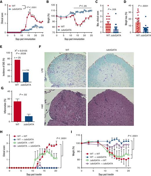 ΔdblGATA mice are resistant to EAE. (A) WT and ΔdblGATA mice were immunized for EAE induction. Representative data showing the clinical course from 1 of >5 experiments. Significance was calculated using 2-way analysis of variance (ANOVA). (B) Change in body weight over time. Significance was calculated by comparing the means from each day. (C) Quantification of the maximum clinical score. (D) Weight loss relative to the starting weight on the day of immunization. Significance for maximum clinical score and weight loss were calculated using Student t test. (E) Disease incidence. Significance was calculated using χ2 test. N = 24 to 25 per group in panels C-E. (F) Luxol fast blue (LFB) and hematoxylin and eosin (H&E) staining for myelin in the spinal cord sections. (G) Quantification of inflammation, calculated as percent area of white matter occupied by cell infiltration. N = 2 to 3 per group. (H-I) Adoptive EAE in WT and ΔdblGATA mice. WT and ΔdblGATA mice were immunized with the PLP180-199 peptide, euthanized on day 8 after immunization, and splenic cells were stimulated with the peptide for 3 days in vitro. Then, 107 of purified CD4+ T cells from WT and ΔdblGATA mice were transferred to naïve WT and ΔdblGATA recipients. One of 2 independent repeats is shown. (H) Clinical score. (I) Change in body weight for panel H is shown. Statistical significance for panels H and I was calculated by 2-way ANOVA. Max., maximum.