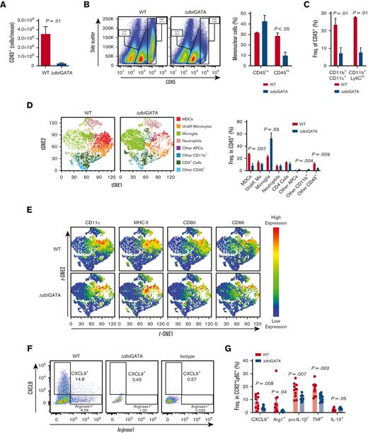 ΔdblGATA mice have reduced monocyte numbers during EAE. WT and ΔdblGATA mice were immunized for EAE induction. Ten mice per group were initially immunized, and 3 to 4 mice were pooled for each data point when the mice were euthanized on day 16 after immunization. Representative data from 4 experiments are shown. (A) Numbers of CD45+ cells isolated from the CNS (spinal cords and brains combined) of WT and ΔdblGATA mice with EAE. (B) Flow cytometry plots depicting CD45 expression vs side scatter, and quantification of CD45hi and CD45lo cells among the total cells isolated from the CNS. (C) Frequency of CD11b+CD11c+ and CD11b+Ly6Chi cells among the CD45+ cells. (D) t-distributed stochastic neighbor embedding (t-SNE) plots of CD45+ cells. Monocyte-derived DCs (MDCs) were defined as CD45hiCD11b+Ly6Glo/−CD11c+Ly6C+MHC-II+. Undifferentiated monocytes (Mo) were defined as CD45hiCD11b+Ly6Glo/−Ly6ChiMHC-II−. Microglia were defined as CD45loCD11b+. Neutrophils were defined as CD45+CD11b+Ly6G+Ly6Cintermediate. CD4+ cells were defined as CD45hiCD11b−CD4+. Other antigen-presenting cells (APCs) were defined as CD45hiCD11b+Ly6G−MHC-II−Ly6C−. The other CD45+ cells were CD45+CD11b−CD4−CD11c−. (E) Heatmap overlay of CD11c, MHC-II, CD80, and CD86 expression. (F) Flow cytometry plots showing CXCL9 and arginase 1 (Arg1) expression among CD45+Sall1−CD11b+CCR2+Ly6Chi monocytes. (G) Quantification of the frequency of CXCL9+, arginase1+, pro–IL-1β+, TNF+, and IL-10+ cells among CD45+Sall1−CD11b+CCR2+Ly6Chi monocytes. For panels F and G, n = 9 to 10 mice per group. Significance was determined by 2-tailed unpaired Student t test. Error bars are standard error of the mean (SEM). MHC-II, major histocompatibility complex II; TNF, tumor necrosis factor.