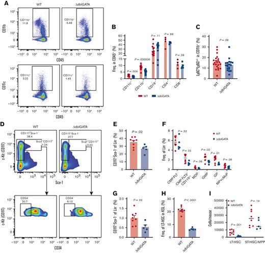ΔdblGATA mice have reduced numbers of HSCs and myeloid cell progenitors. (A) Flow cytometry plots showing frequencies of CD11b+ and CD11c+ cells among CD45+ PBMCs in naïve WT and ΔdblGATA mice. (B) Frequencies of CD11b+, CD11c+, CD19+, CD4+, and CD8+ cells among CD45+ PBMCs. N = 4 to 13 per group. (C) Frequencies of Ly6ChiLy6Glo/− monocytes among CD11b+ PBMCs. N = 19 to 22 per group. (D-I) Quantification of hematopoietic progenitors in the BM of WT and ΔdblGATA mice. N = 5 to 8 per group, compiled from 2 independent experiments. (D) Flow cytometry plots depicting the expression of CD117 and CD34 among lineage negative cells (Lin−; CD3−B220−CD11b−TER119−Gr-1−). (E) Frequencies of CD117+Sca1− cells among Lin− cells. (F) Frequencies of MP populations among Lin− cells. Full gating and population definitions can be found in the supplemental Figure 3. (G) Frequencies of CD117+Sca1+ cells among Lin− cells. (H) Frequencies of long-term HSCs (LT-HSCs) among Lin−CD117+Sca1+ (KSL) cells. (I) Number of LT-HSCs and short-term HSCs/multipotent progenitors per mouse. Significance was determined by a 2-tailed unpaired t test. Error bars are SEM. CMP, common myeloid progenitor; GMP, granulocyte-myeloid progenitor; GP, granulocyte progenitor; MDP, monocyte-dendritic cell progenitor; cMoP, common monocyte progenitor.