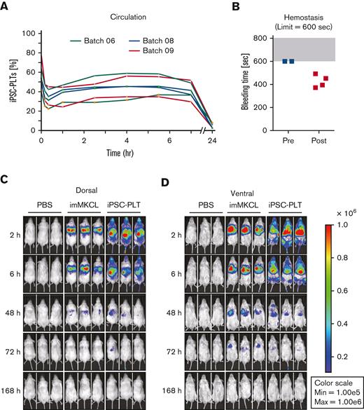 In vivo functional assessment of iPSC-PLTs. (A) In vivo circulation in thrombocytopenic rabbit models for 3 batches of iPSC-PLTs as measured by the percentage of human and rabbit platelets in peripheral blood using flow cytometry. (B) In vivo hemostasis in thrombocytopenic rabbit models for iPSC-PLTs, as measured by the bleeding time of the ear incision before and after the transfusion of human iPSC-PLTs (batch 09). The maximum time was set to 600 seconds. (C) Circulation of iPSC-PLTs in NOG mice by IVIS imaging: imMKCLs or iPSC-PLTs expressing Venus-Akaluc were injected into NOG mice. Phosphate-buffered saline was injected for the control group. After 2, 6, 48, 72, and 168 hours, the mice were subjected to IVIS imaging.