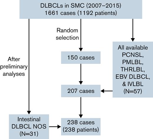 Profile of the training cohorts used in this study. A total of 238 cases were included in the cohort, with 57 specific subtype and 31 intestinal lymphoma cases added to 150 patients randomly selected from 1661 DLBCL cases. NOS, not otherwise specified; SMC, Samsung Medical Center.