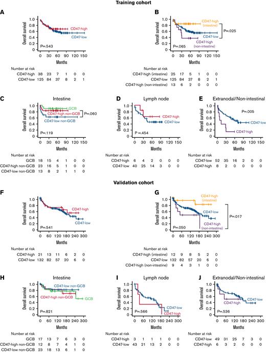 Results of survival analyses. Kaplan-Meier curves of overall survival according to CD47 status and tumor locations of patients with DLBCL NOS in the training (A-E) and validation cohorts (F-J). CD47 expression was not a significant prognostic factor in intestinal diffuse large B-cell lymphoma; however, the prognosis of CD47-high cases was worse than that of CD47-low cases at extranodal/nonintestinal organs in the training cohort. In the validation cohort, CD47-high DLBCL showed a worse prognosis than CD47-low in the extranodal/nonintestinal sites, but it was not statistically significant.