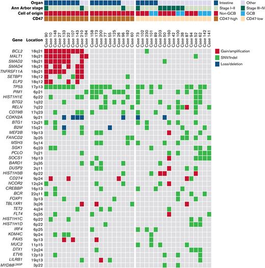 Results of panel-based massively parallel sequencing of 37 cases. The information on organ, Ann Arbor stage, cell of origin, and CD47 immunohistochemistry are depicted. All 10 cases with 18q21 gain/amplification were CD47-high cases. SNV, single nucleotide variant.