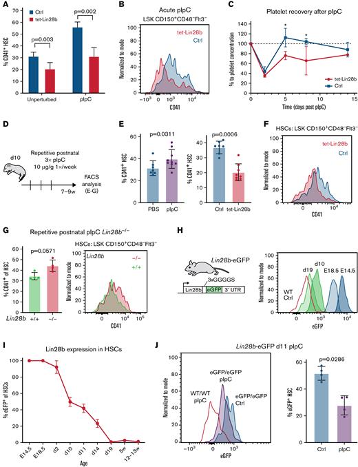 Sustained postnatal LIN28B expression limits inflammation-induced Mk lineage output. (A) CD41+ frequency in phenotypic HSCs from 8-week-old tet-Lin28b and littermate (ctrl) mice induced with DOX from birth. Mice were either kept unperturbed or treated with 10 μg/g pIpC and analyzed by using FACS 16 hours later. Statistical significance determined by multiple t tests using the Holm-Šídák method. n = 3 to 8. (B) Representative FACS histograms showing CD41+ HSC frequency in pIpC-treated mice. (C) Relative platelet frequency in peripheral blood from tet-Lin28b and ctrl mice after pIpC treatment measured by FACS. Statistical significance for each time point was determined by multiple t tests assuming equal standard deviation. Day 5, P = .003; day 8, P = .002. (D) Experimental outline for repetitive postnatal pIpC treatments of juvenile mice. Three consecutive weekly treatments of intraperitoneal injection of 10 μg/g pIpC started in 10-day-old (d10) wild-type (WT) pups followed by end point analysis between 7 and 9 weeks of age. (E) FACS analysis of CD41+ HSC frequency (left) in WT mice after repetitive pIpC or PBS injections and (right) tet-Lin28b and ctrl mice after repetitive pIpC treatment (n = 7-9). P values were determined by using the Mann-Whitney test. (F) Representative FACS histograms of CD41+ HSCs from repetitive pIpC-treated tet-Lin28b and control mice. (G) FACS analysis of CD41+ frequency in HSCs from 8-week-old mice of the indicated genotypes treated with the repetitive postnatal pIpC regimen. P value was determined by using the Mann-Whitney test. (H) LIN28B-eGFP reporter mouse model design and FACS histograms showing decreasing LIN28B protein levels across developmental time. (I) Compiled frequency of eGFP+ HSCs at the indicated ages. eGFP+ gating is based on WT littermate controls (n = 2-7 per time point). (J) FACS analysis of eGFP+ levels and frequency in HSCs from 11-day-old (d11) mice 16 hours after 10 μg/g pIpC challenge. ∗P < .05. P value was determined by using the Mann-Whitney test. 3′UTR, 3′ untranslated region; LSK, lineage–Sca1+cKit+.