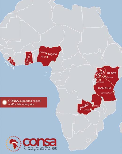 Mapof the 7 CONSA partner sites, by country.