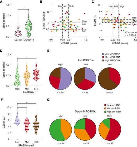 In the serum from patients hospitalized with COVID-19, levels of NET markers did not correlate with disease severity or D-dimer levels but did correlate with lower anti-RBD antibody titers. (A) Serum levels of MPO-DNA from patients hospitalized with COVID-19 and control patients, normalized to NET-standard. (B) Scatter plot of D-dimer vs MPO-DNA levels in patient serum showing no correlation between the two (R2 = 0.0217, P = .29 from linear regression analysis). Dotted horizontal lines indicate low (<0.5 μg/mL fibrinogen equivalent units, or FEU), mid (between 0.5 and 2 μg/mL FEU), and high (>2 μg/mL FEU) D-dimer levels. Dotted vertical lines indicate low (<0.33), mid (0.33-0.5), and high (>0.5) levels of MPO-DNA. Dot colors indicate patients with low (red), mid (orange), or high (green) anti-RBD titers. (C) Scatter plot of anti-RBD antibody titers vs MPO-DNA levels in patient serum (R2 = 0.1487, P = .0043 from linear regression analysis). Dotted horizontal lines indicate low (<4), mid (4.5-5.5), and high (>6) anti-RBD antibody titers, and dotted vertical lines are as in panel B. Dot colors indicate patients with high (red), mid (orange), or low (green) levels of D-dimer. (D) Average MPO-DNA levels from patients with low (2-4), mid (4.5-5.5), or high (6-8) titers of anti-RBD antibodies. (E) Proportion of patients in each anti-RBD titer group (low, mid, or high) who had low, mid, or high MPO-DNA levels. (F) Average anti-RBD titers from patients with low (<0.33), mid (0.33-0.5), or high (>0.5) MPO-DNA levels. (G) Proportion of patients in each MPO-DNA group (low, mid, or high) who had low, mid, or high anti-RBD titers. In panels A, D, and F, dashed line represents the median for each group and dotted lines represent the first and third quartiles. In panel A, ∗∗P < .01 by unpaired two-tailed t test and in panels D and F, ∗P < .05, ∗∗P < .01 by one-way ANOVA test with Tukey multiple comparisons test.