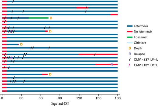Pattern of CMV viremia in the first 180 days post-CBT in recipients of letermovir prophylaxis. Patients are listed in chronological order. One patient discontinued letermovir upon initiation of foscarnet on day 36 for human herpesvirus 6 pneumonia. One patient with adenovirus infection also received cidofovir from day 23.
