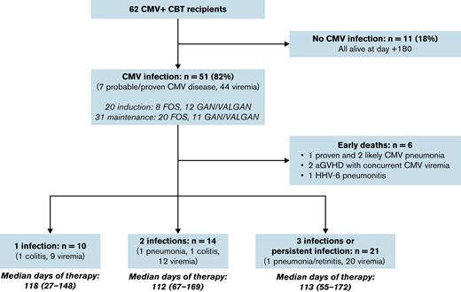Summary of CMV infections in the first 180 days post-CBT in CBT recipients who did not receive letermovir prophylaxis. aGVHD, acute GVHD; FOS, foscarnet; GAN, ganciclovir; HHV-6, human herpesvirus 6; VALGAN, valganciclovir.