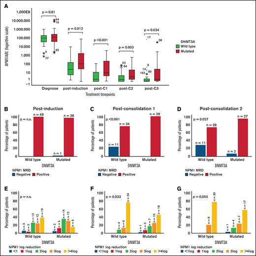 NPM1 MRD distribution at relevant clinical time points according to DNMT3Amut status. (A) NPM1 absolute transcript distribution in logarithmic scale. (B-G) MRD response, with MRD+ and MRD− rates (B-D) and corresponding equivalent log10 reductions (E-G) at postinduction (B,E), post-C1 (C,F), and post-C2 (D,G).