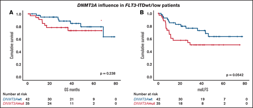 DNMT3A influence in the favorable FLT3-ITD subgroup. Distribution of patients with FLT3WT or FLT3low according to OS (A) and molLFS (B).
