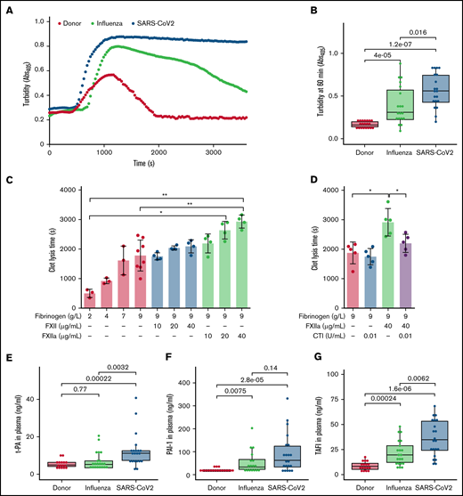 Dysregulated fibrinolysis in severe COVID-19. (A) Turbidimetric analysis of clot lysis in severe COVID-19, ARDS-influenza, and donor plasma. Representative clot lysis curves are shown. SARS-CoV-2, n = 20; ARDS-influenza; n = 19, donors, n = 20. (B) Turbidity values of the fibrin clots at 60 minutes. SARS-CoV-2, n = 20; ARDS-influenza, n = 19; donors, n = 20. (C-D) Clot lysis time. Clots were generated in a purified system with increasing concentrations of fibrinogen and/or FXII/FXIIa. Clot formation was induced by thrombin and clot lysis by plasmin generated from plasminogen by tPA. In some experiments, FXII was preincubated with CTI. Clot formation and lysis were monitored via turbidimetry (n = 3-5). (E-G) tPA (E), plasminogen activator inhibitor-1 (PAI-1; F), and thrombin-activatable fibrinolysis inhibitor (TAFI; G) levels in plasma of patients with COVID-19 (n = 21) or ARDS-influenza (n = 21) and donors (n = 17), as assessed by enzyme-linked immunosorbent assay. *P < .05; **P < .01.
