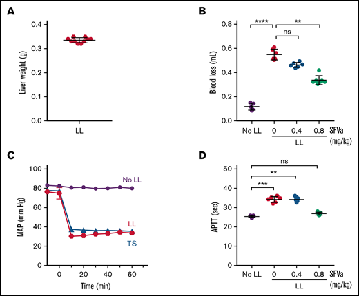 Development of ATC after severe bleeding and prevention by superFVa prophylaxis. Severe bleeding was induced by a midline laparotomy followed by liver laceration (LL) involving the removal of 75% of the left lobe of the liver (supplemental Figure 4). Control mice (No LL) underwent the same procedures except liver laceration. In some experiments, a pressure probe was inserted into the carotid artery to gain information about the MAP. Mice received superFVa (SFVa) prophylaxis (0.4 or 0.8 mg/kg) or vehicle control (0 mg/kg SFVa) as a bolus IV administration (100 µL) shortly before liver laceration. Plasma samples were collected 60 minutes after liver laceration. (A) Weight of the excised liver (n = 10). (B) Blood loss after 60 minutes (n = 5-7). (C) MAP, monitored using a pressure probe inserted into the carotid artery (n = 3). MAP after trauma and shock (TS, supplemental Figure 1) is shown for comparison. (D) APTT at 60 minutes (n = 5-7). Results are shown as mean ± SD. Statistical significance was determined by Kruskal-Wallis 1-way ANOVA with Dunn’s multiple comparisons test. **P < .01; ***P < .001; ****P < .0001; ns, not significant.