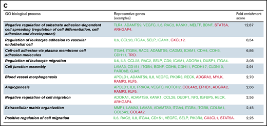 Differentially expressed genes in IP-ECFCs and the enriched GO-biological process terms. (A) Volcano plot illustrates significantly DEGs in IP-ECFCs in which –log10 (p) is plotted against the mean differences. Green dots represent the upregulated genes and red dots represent downregulated genes. Numbers of genes upregulated or downregulated are denoted. Dashed lines mark the threshold of statistical significance. DEGs were considered significant when P < .05 and fold-change was > 2 in respect of healthy control ECFC samples/or absolute log2FC (mean difference) was > 1. A negative mean difference value indicates lower expression in healthy controls and a positive mean difference indicates lower expression in IP-ECFCs. The blue dots illustrate the expression of WPB cargos, which are either upregulated (CXCL8, IL6, CXCL1, and SELP) or are expressed normally (VWF, Ang2, CCL2, CD63, and IGFBP7). (B) Graphs show the expression level (represented by TMM) of WPB constituents in healthy as well as index patient ECFCs. The mean difference values (Diff), calculating a difference between the expression of healthy controls and the IP, as well as P values are specified above the columns. There was no significant difference in expression (Diff) of the VWF, Ang2, CCL2, CD63, and IGFBP7 between healthy and IP-ECFCs (P > .05), though the expression of IL-8, CXCL1, IL-6, and P-selectin in IP was upregulated, demonstrating significant Diff (P < .05). (C) The table displays the list of top 10 enriched GO-biological process terms as well as the examples of the representative genes (green: upregulated genes; red: downregulated genes), and their Fold Enrichment Score estimated after carrying out GO enrichment analysis using the GO Consortium tool. TMM, trimmed mean of the M-values.