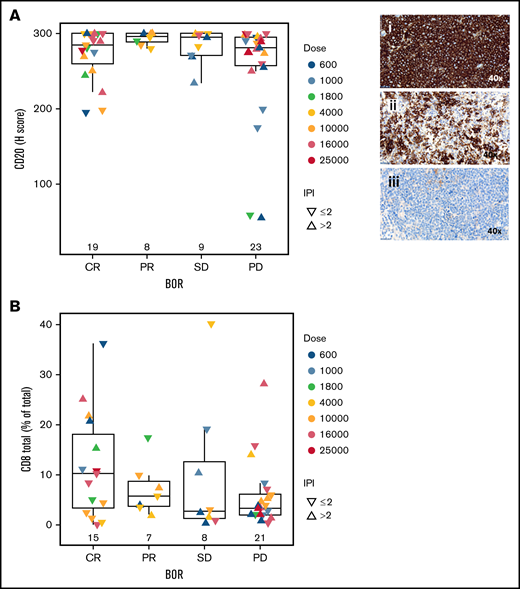 Association of baseline tissue biomarkers with response to glofitamab. Box plots demonstrate CD20 H score (immunohistochemistry; n = 59) (A) and percentage of total CD8+ T cells (out of total cells in tumor area; immunofluorescence; n = 51) (B) in baseline tumor biopsy specimens in relation to the best overall response (BOR) categories. P values >.05. In panel A, images represent H scores of 300 (i), 175 (ii), and 59 (iii). Statistical analyses were performed for CR vs PR/stable disease (SD)/progressive disease (PD) and adjusted for log(glofitamab dose) and IPI category.