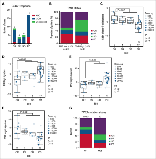 Association of gene expression signatures and mutational status of baseline tumors with response to glofitamab. (A) Bar plots show the distribution of COO classes in baseline biopsy samples (analyzed by RNA-sequencing) according to the best overall response (BOR) category (P = .9). (B) Bar plots represent the distribution of the BOR categories in tumor mutational burden (TMB) low subsets (<15 mutations/Mb) and high subsets (≥15 mutations/Mb), measured by targeted-sequencing in baseline biopsy samples (P = .95). Box plots show signature scores (RNA-sequencing) of baseline biopsy samples for CD8+ effector T cells (C), PD1 high (D), MYC (E), and TP53 (F) target genes in different BOR categories. Values above 0 indicate signature enrichments in each biopsy. (G) Bar plots represent distribution of the BOR categories in TP53 wild-type (WT) and mutant (mut) subsets measured by targeted-sequencing in baseline biopsy samples (P = .09). Statistical analyses in panels B to F were performed for CR vs PR/stable disease (SD)/progressive disease (PD) and adjusted for log(glofitamab dose) and IPI category. Data in panel A and panels C to F are generated from n = 35 patients with RNA-sequencing data, and in panels B and G from n = 33 patients with targeted sequencing data. ABC, activated B-cell; GCB, germinal center B-cell.