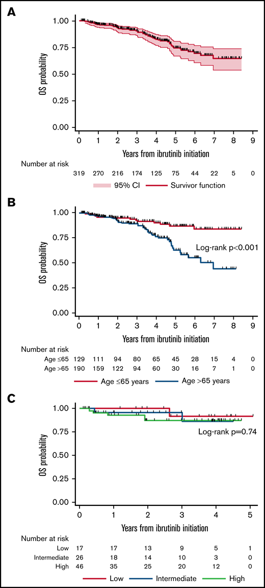 Overall survival estimates in 319 patients with WM treated with ibrutinib monotherapy, for the entire cohort (A), according to age (B), and according to the IPSSWM in patients who received ibrutinib as primary therapy (C).