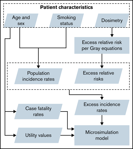 Inputs and outputs of the individual-patient level state-transition model. Outcomes in the model vary according to the simulated patient’s characteristics, namely age, sex, smoking status, and mean organ doses. Age and sex influence the incidence and case fatality rates of late effects as well as patient utility each cycle. Smoking status influences incidence rates. Mean organ doses, through dose-response equations, also influence the incidence rates of late effects.