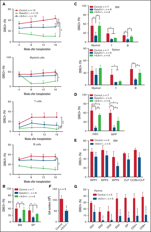 Gata2 +9.5+/− BM cells display decreased reconstitution in primary recipients. A total of 1 × 106 CD45.2+ BM cells from 6-week-old WT C57BL/6J (Control), Gata2 +9.5+/− (+9.5+/−), and Gata2+/− (Gata2+/−) mice were mixed with 1 × 106 CD45.1+ competitor BM cells and injected into lethally irradiated recipients (CD45.1+). (A) Quantification of donor-derived myeloid, T, and B cells in recipient peripheral blood every 4 weeks after transplantation. (B-D) Terminal evaluation was performed in primary recipients 16 weeks after transplant. (B) Quantification of donor-derived cells in BM and SP of primary recipients. (C) Quantification of donor-derived myeloid, T, and B cells in BM and SP of primary recipients. (D) Quantification of donor-derived HSCs and MPPs in BM of primary recipients. The results are presented as means ± SD. *P < .05; **P < .01; ***P < .001. (E-G) Recipients were killed at 8 weeks after transplant. (E) Quantification of donor-derived MPP1, MPP2, and MPP3; CLPs; and CCR9+ CLPs in BM. (F) Quantification of thymic cell numbers. (G) Quantification of donor-derived T cells in thymus. The results are presented as means + SD. *P < .05; **P < .01; ***P < .001.