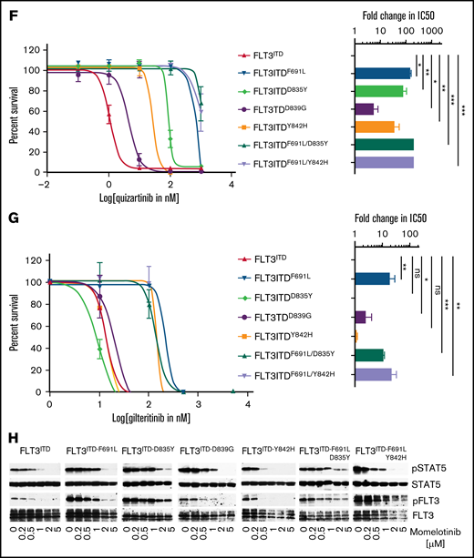 Momelotinib potently inhibits FLT3ITD and its resistant variants from the activation loop. (A) Sigmoidal curve showing the viability of BaF3 cells expressing FLT3-WT, Jak2V617F, and FLT3ITD treated with dimethyl sulfoxide or increasing concentrations of momelotinib for 72 hours. IC50 values for each cell line is indicated in parentheses. (B) Sigmoidal curve showing the potent inhibition of human FLT3ITD-mutant AML cells (MV4-11 and MOLM13), whereas proliferation of K562 cells was not significantly affected. IC50 values for each cell line is indicated in parentheses. pFLT3 and pSTAT5 levels determined by western blotting using total cell extracts of MV4-11 cells (C) and MOLM13 cells (D) treated with increasing concentrations of momelotinib for 2 hours. Dose-response sigmoidal curve showing the proliferation of BaF3 cells expressing FLT3ITD and its quizartinib-resistant variants at different concentrations of momelotinib (E), quizartinib (F), and gilteritinib (G) (left panels). Fold differences in the IC50 values for each FLT3ITD variant normalized to FLT3ITD are presented as a bar graph with a logarithmic scale (right panels). Note that momelotinib efficiently inhibited the activation loop quizartinib-resistant mutants, as well as compound mutant FLT3ITD/F691L/Y842H, which is fully resistant to gilteritinib (brown bar). (H) Immunoblot analysis showing inhibition of the kinase activity of FLT3ITD and resistant variants treated with different concentrations of momelotinib. Total cell extracts from the cells treated with momelotinib for 2 hours were probed with anti-pFLT3, anti-pSTAT5, anti-FLT3, and anti-STAT5 antibodies. Representative cell proliferation data (± standard deviation) are shown from 2 independent experiments. Error bars represent standard error of the mean. *P < .05, **P < .01, ***P < .001. ns, not significant.