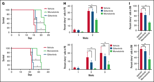 Momelotinib is a type I FLT3 inhibitor and effectively suppresses leukemic progression in mice. (A) Ribbon depiction of a structural model of FLT3 momelotinib was built using quizartinib (PDB: 4XUF) and gilteritinib (PDB: 6JQR) coordinates. A stick representation of momelotinib (cyan) and gilteritinib (brown) shows their binding to the ATP site. (B) Close-up view of the active site of the FLT3 kinase showing the interaction of momelotinib with Cys694 (C694) from the kinase hinge region and Ser618 (S618) from the P-loop through 3 hydrogen bonds (upper panel). Similar binding of gilteritinib and momelotinib (lower panel). (C) Surface depiction of FLT3 kinase with gilteritinib showing the binding of momelotinib and gilteritinib. The activation loop residues D835 (pink), D839 (brown), and Y842 (pink) are frequently mutated in patients treated with type II inhibitors. (D) Model of FLT3 inactive conformation docked with momelotinib and gilteritinib showing steric clash with Phe830 and broken hydrophobic spine. (E) Model of FLT3 active kinase with a stable hydrophobic spine showing the binding of momelotinib and gilteritinib, which provides an explanation why they favor active kinase conformation for binding. (F) Luminescence imaging of NSGS mice transplanted with MOLM13 (upper panels) and MV4-11 (lower panels) at 2 weeks posttransplantation. One million MOLM13-luciferase-Cherry cells (upper panels) and MV4-11-luciferase-Cherry cells (lower panels) were transplanted by tail vein injection into NSGS mice. Momelotinib treatment (100 mg/kg daily in phosphate-buffered saline by intraperitoneal injection) was started 2 days posttransplant. Control mice were injected with vehicle (phosphate-buffered saline).
